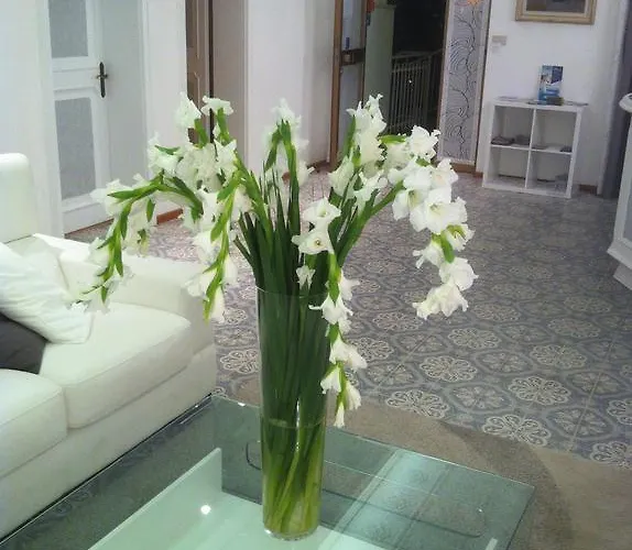 Hotel Hotel Moreri 3*